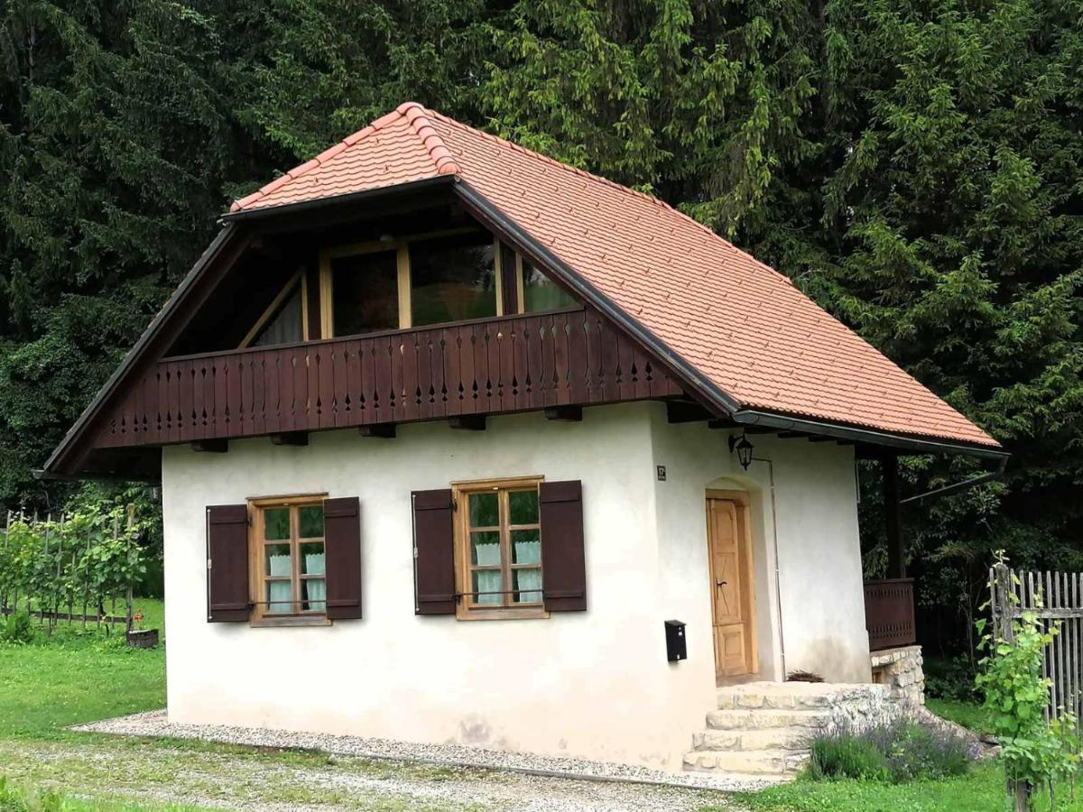 Holiday house apartment Voukov mlin Smarje pri Jelsah Exteriér fotografie